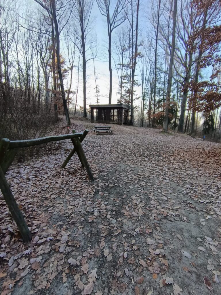 Singltrek Podhůra – parádní jízda pro každého bikera