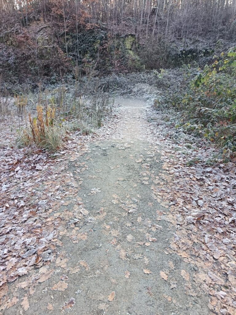 Singltrek Podhůra – parádní jízda pro každého bikera