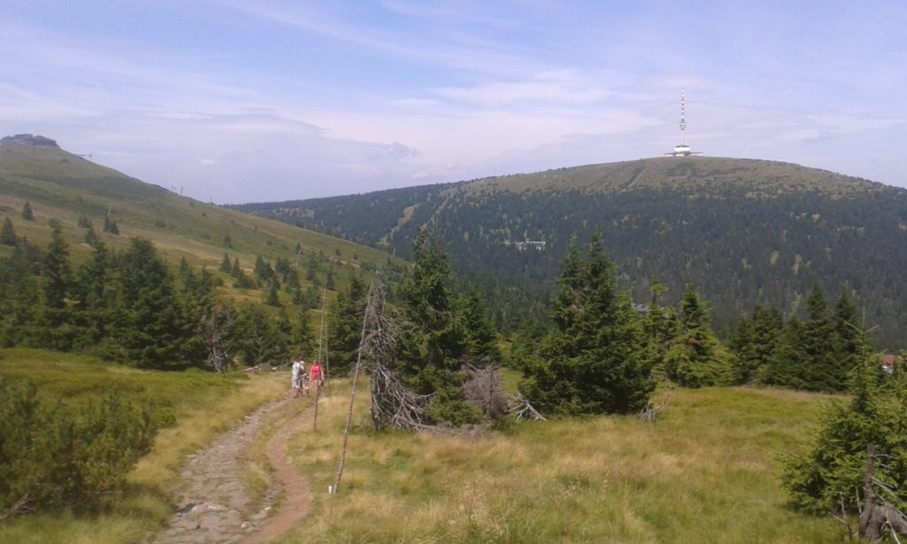 Výhled na Praděd