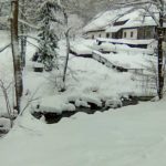 50598022_540145399839259_7565555256629657600_n