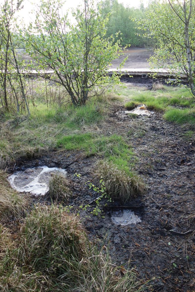 Přírodní rezervace Soos leží přibližně 6 km severovýchodním směrem od Františkových Lázní v Karlovarském kraji.