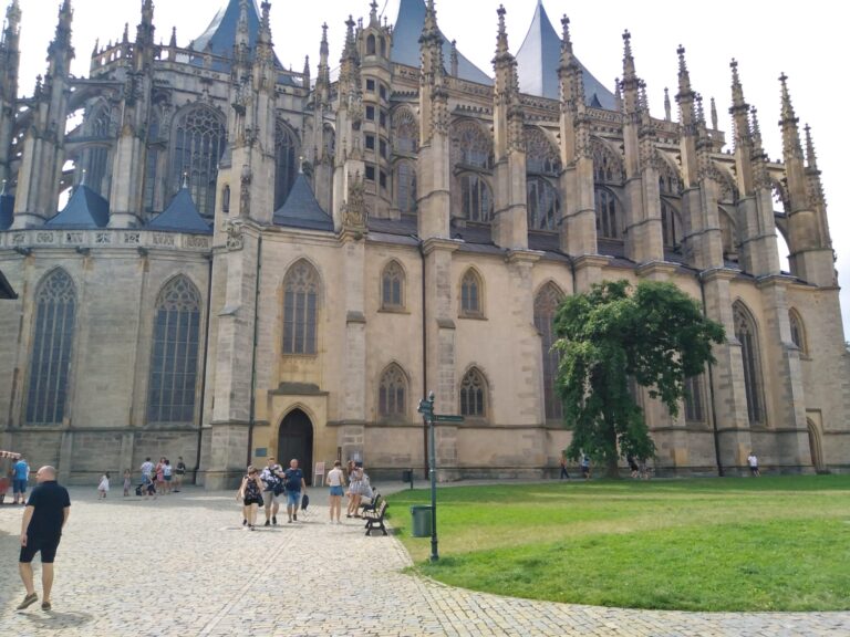 WhatsApp Image 2022-08-19 at 17.58.31