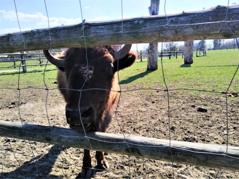 rsz_img_20200410_151805