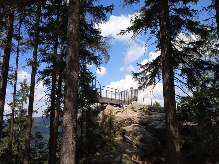 vyhlídka liška (2)