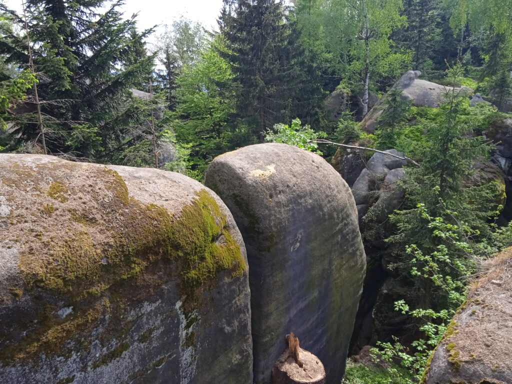 Broumovské skály turistická stezka