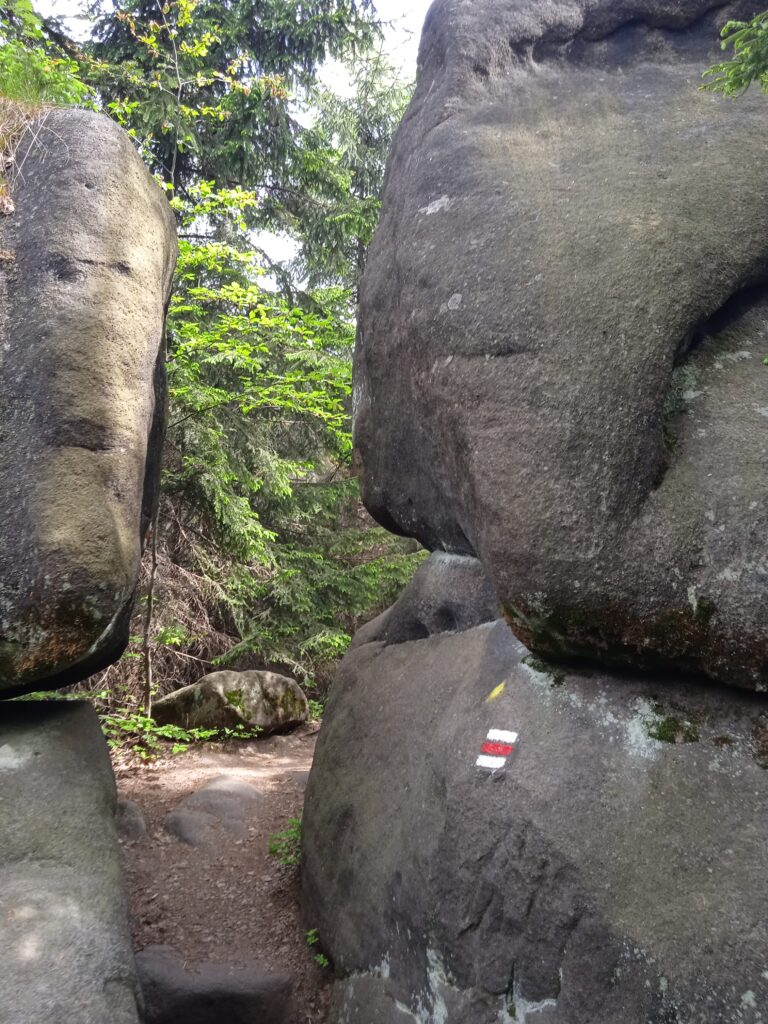 Broumovské skály turistická stezka