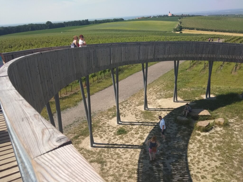 Stezka nad vinohrady v Kobylí