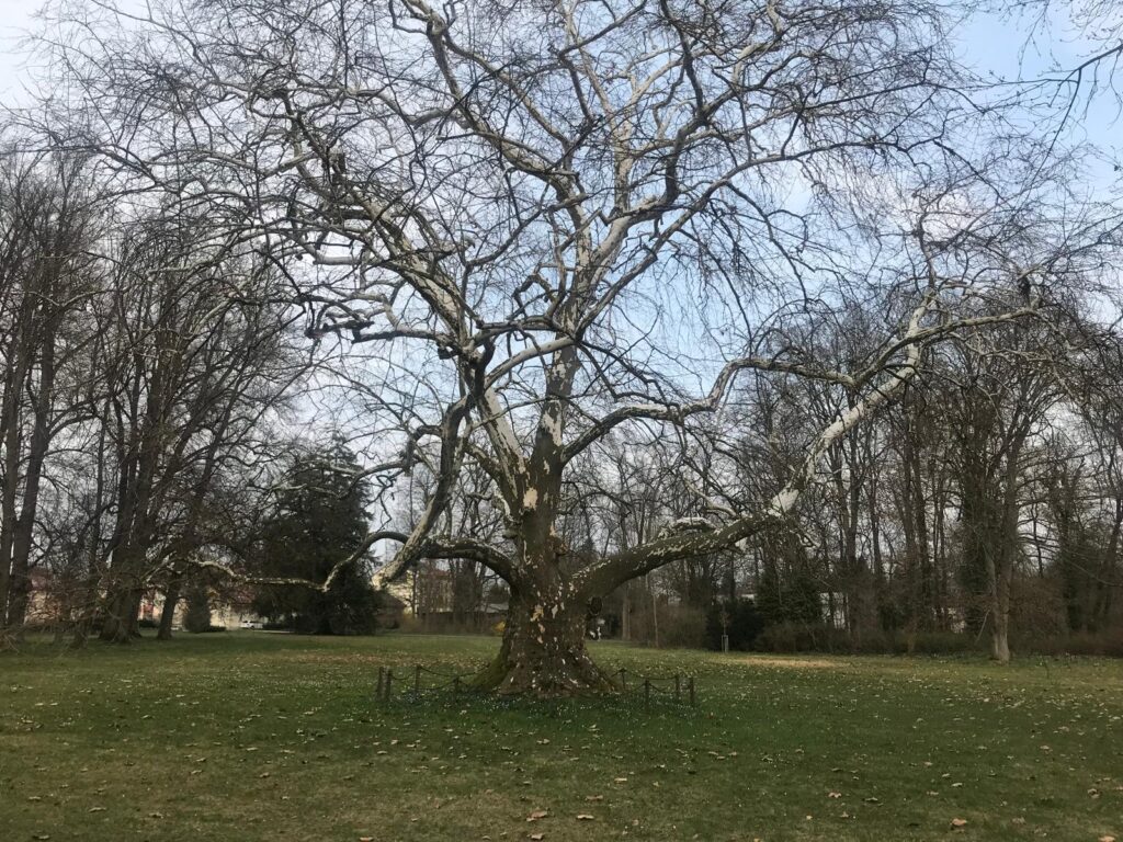 Nový zámek v Kostelci nad Orlicí