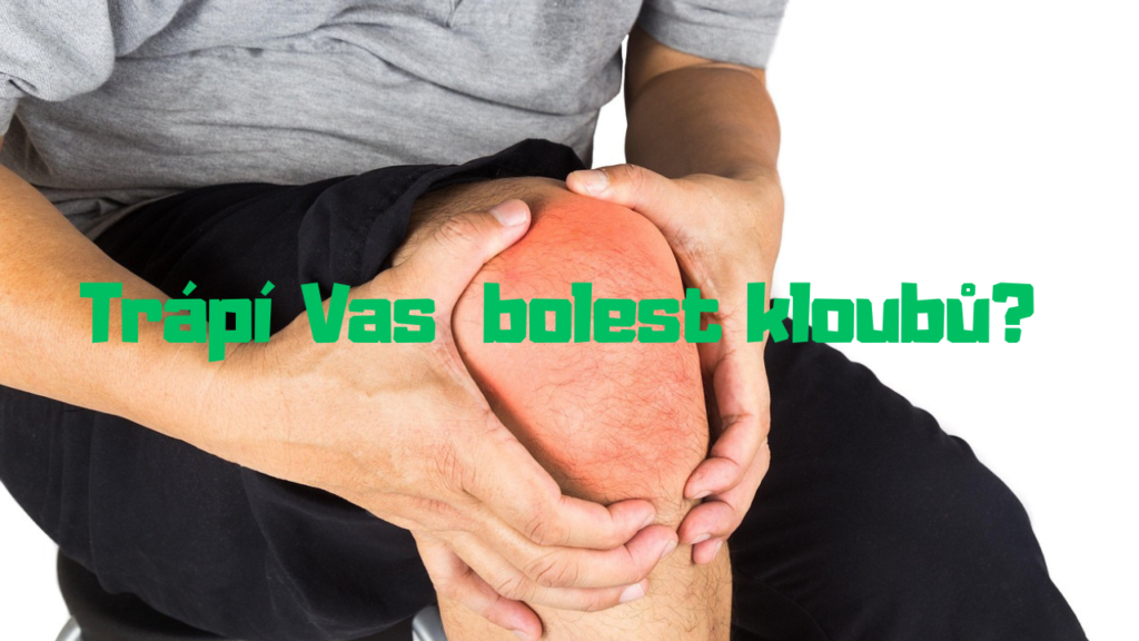 5 tipů na výlety na Jižní Moravě (6)