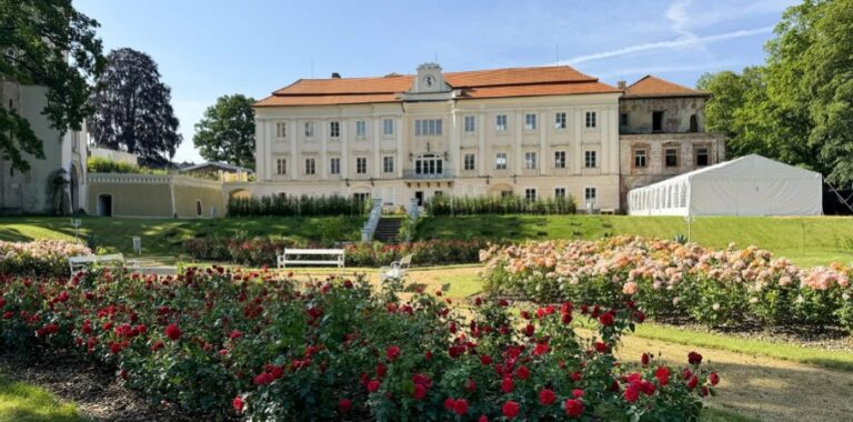 Snímek obrazovky_16-7-2025_72156_www.slevomat.cz