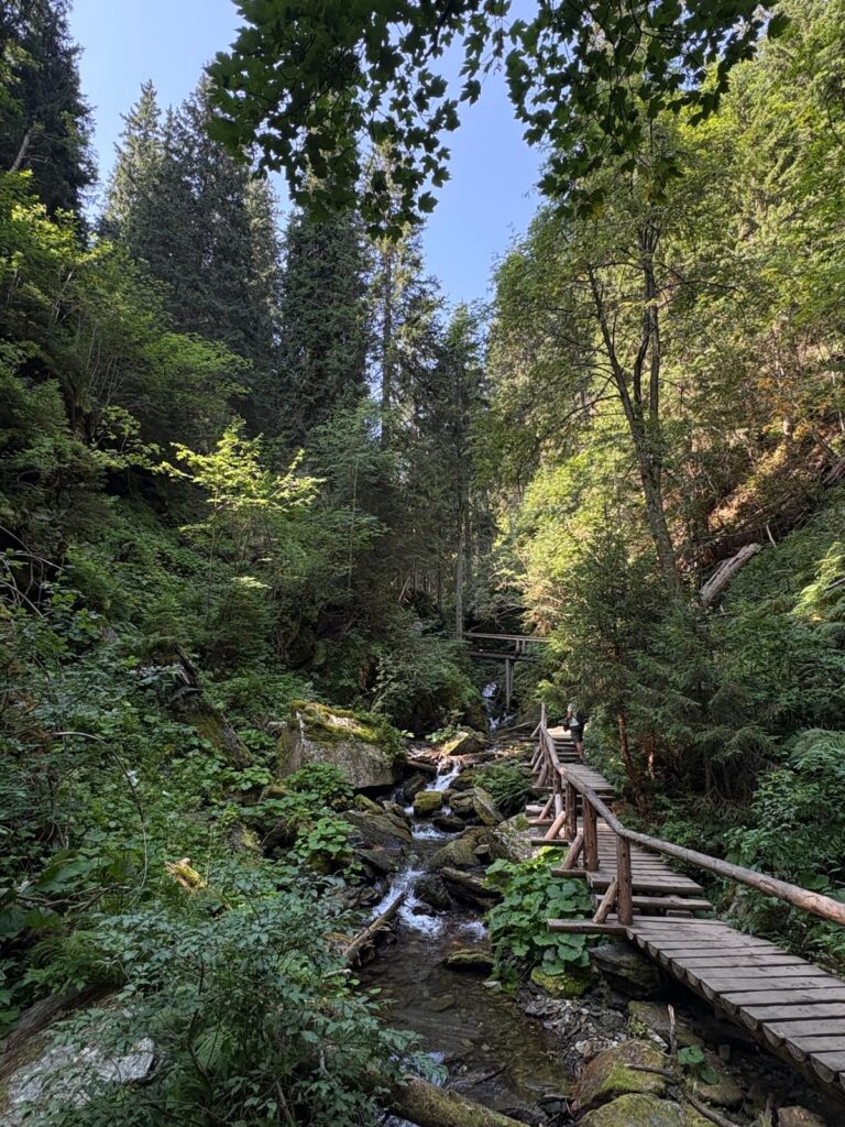 Naučná stezka Bílé Opavy