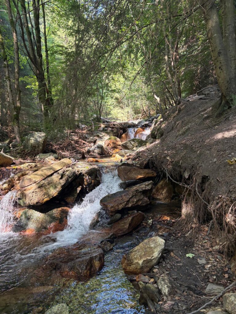 Naučná stezka Bílé Opavy