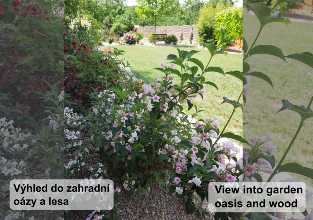 Apartmán Vital výhled