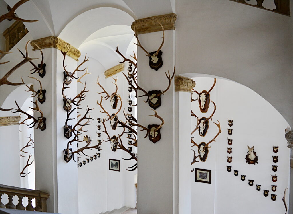 Zámek Úsov – barokní skvost s loveckým muzeem