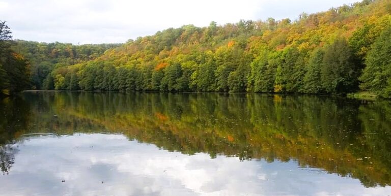 Mariánské údolí – zelená oáza na východním okraji Brna