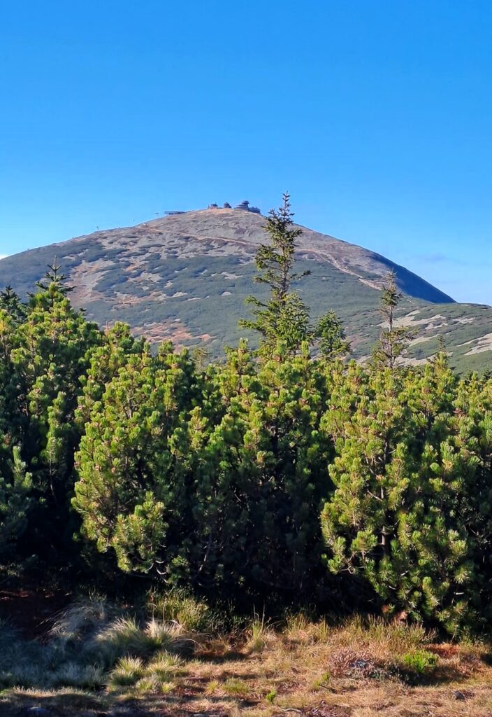 Cesta na Sněžku z Pomezních bud přes Jelenku