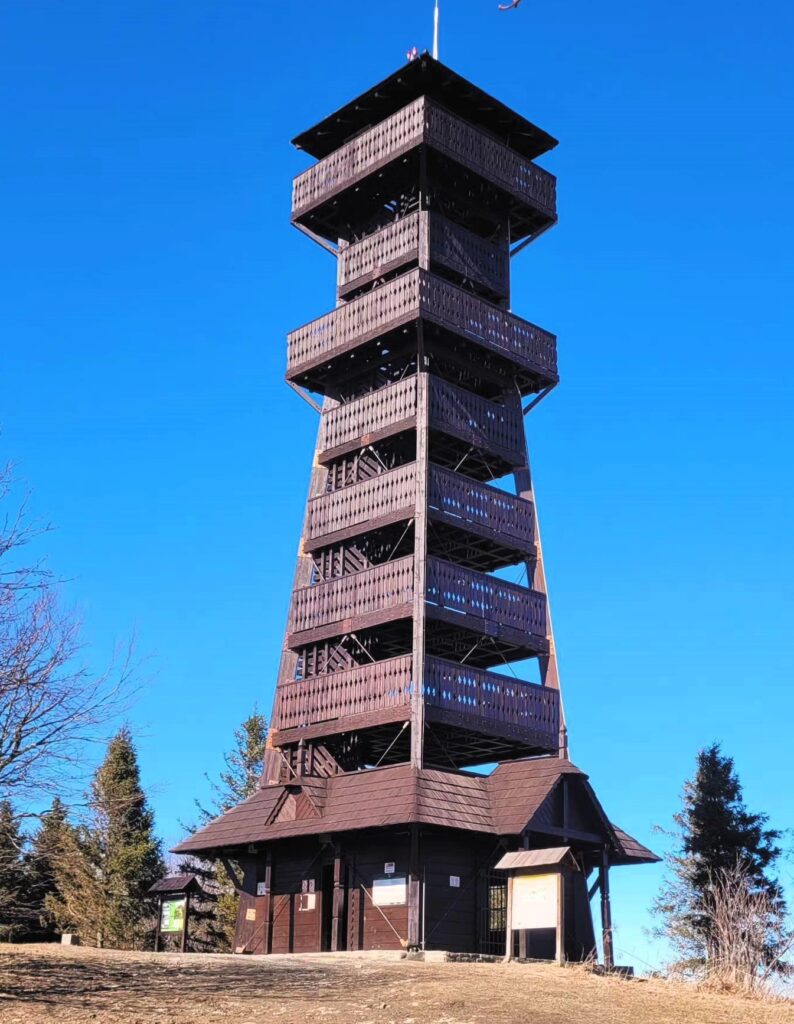 Rozhledna Velký Javorník – dřevěná krása s výhledem na Beskydy a Jeseníky