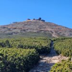 Cesta na Sněžku z Pomezních bud přes Jelenku