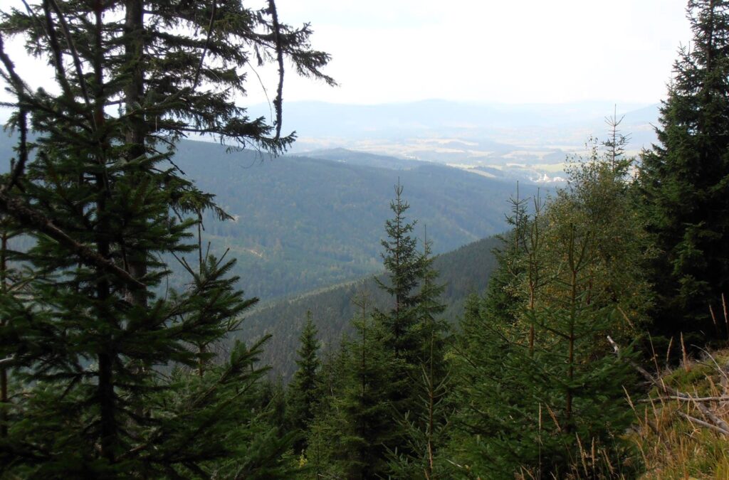 Výlet z Ostružné na Šerák a Keprník – klasika Jeseníků s dechberoucími výhledy