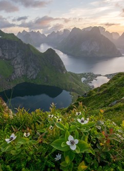 320-31925a99893b4d189b488a422dcd4a9e