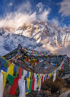 320-b633c37a816743249c3f94d167bf7d83