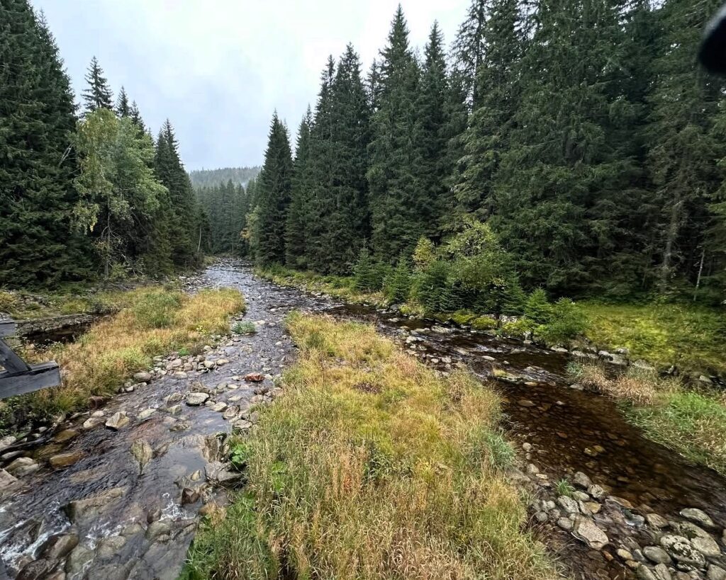 Hradlový most Rechle – technická památka uprostřed šumavské přírody