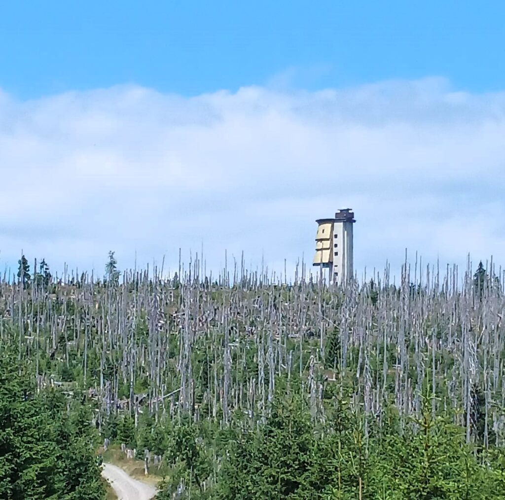 Rozhledna Poledník – ikonická věž Šumavy s výhledy až k Alpám