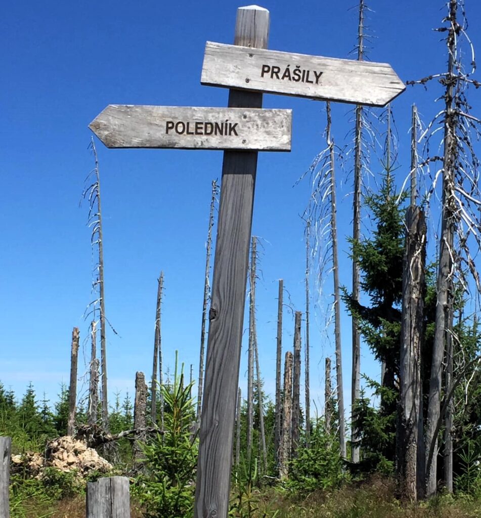 Prášilské jezero – ledovcový skvost Šumavy s možností výstupu na Poledník
