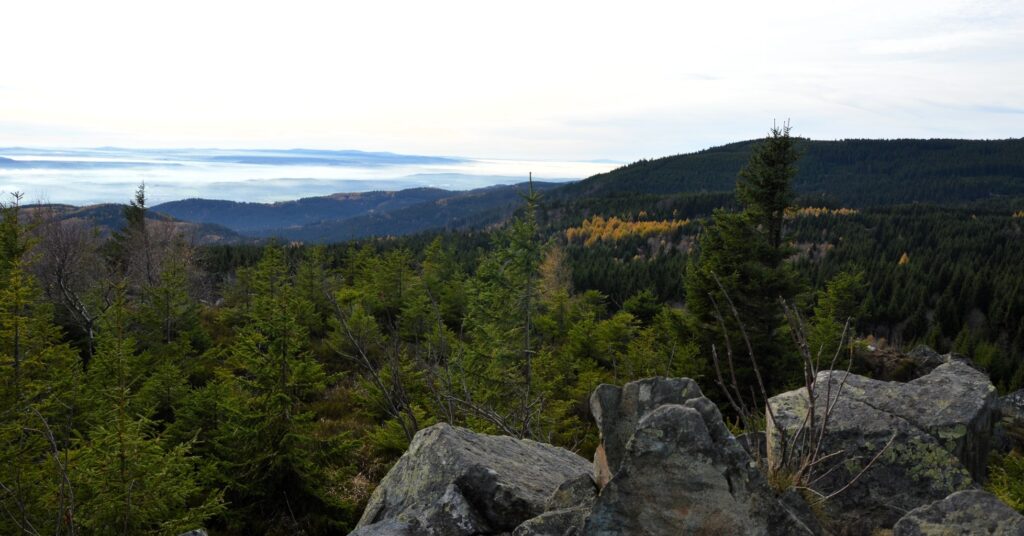 Meluzína (1097 m) – čtvrtá nejvyšší hora české části Krušných hor 