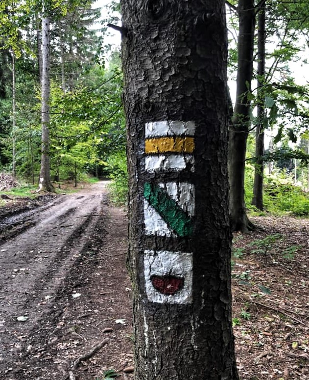 Rozhledna Vlčí hora – romantická dominanta Českého Švýcarska s výhledem do čtyř pohoří