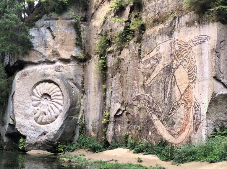 Kam o víkendu na výlet? Objevte místo, kde se historie psala už před miliony let – naučná stezka Druhohory v kostce v Maletíně