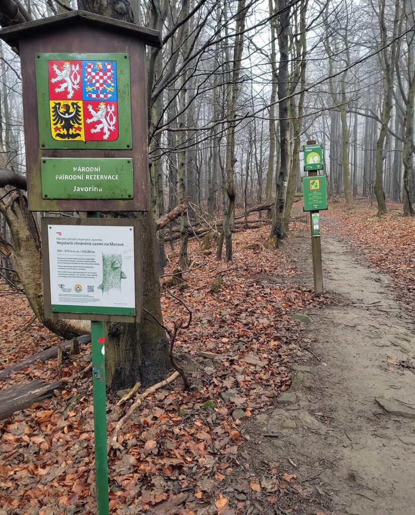 Velká Javořina – nejvyšší hora Bílých Karpat a symbol česko-slovenského přátelství