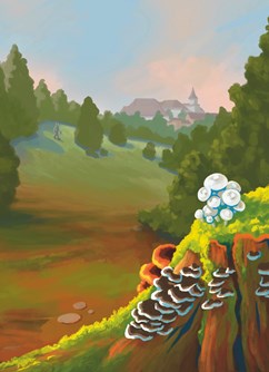 320-5a13b7372425482aa662a7f44b6bdc4b