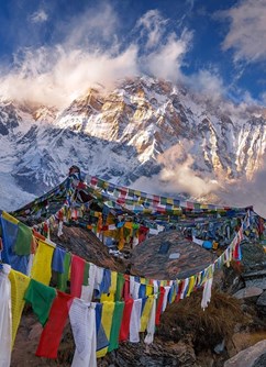 320-91a8c5487e1840e68d1a05f061dcac6c