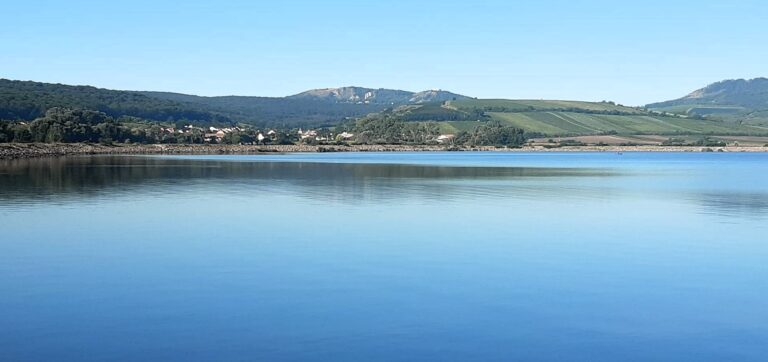 Naučná stezka Věstonická nádrž – jedinečný svět lužní krajiny pod Pálavou