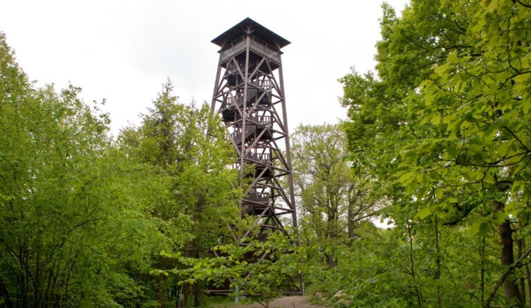 Rozhledna Haniperk – nádherný výhled na Šumavu a Novohradské titulkahory