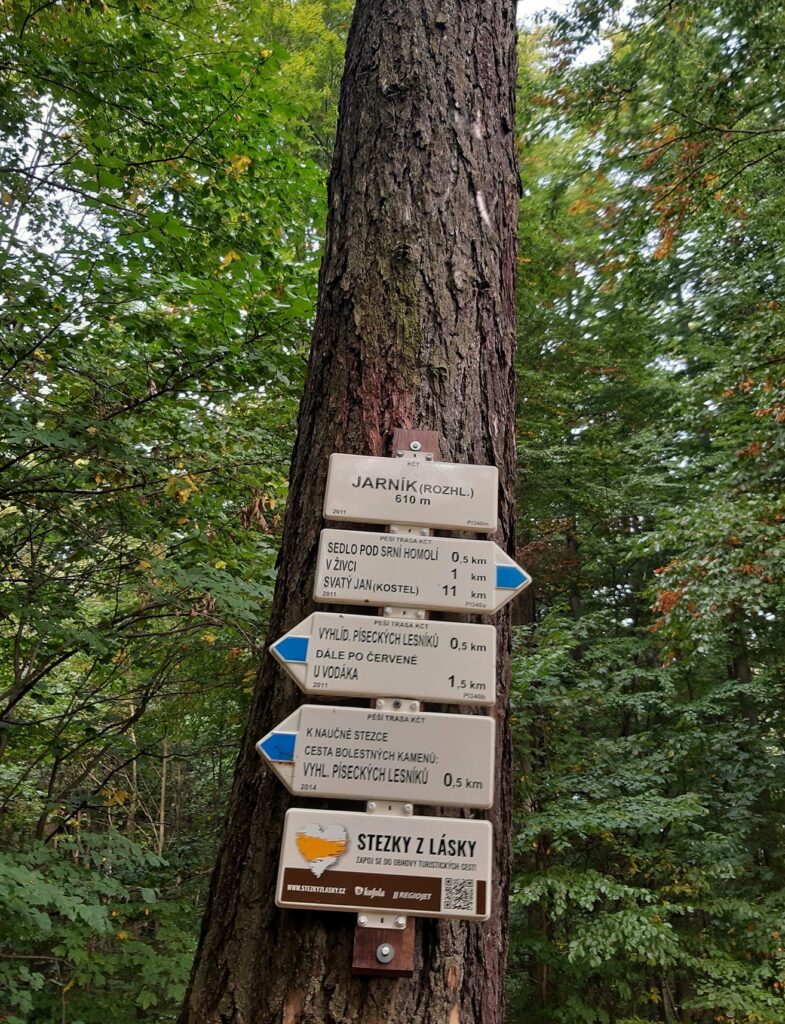 Rozhledna Jarník – nejkrásnější výhledy na jižní Čechy z výšky 35 metrů