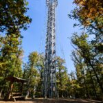 Rozhledna Holedná – moderní vyhlídka nad Brnem s panoramatem na celé město i okolní krajinu