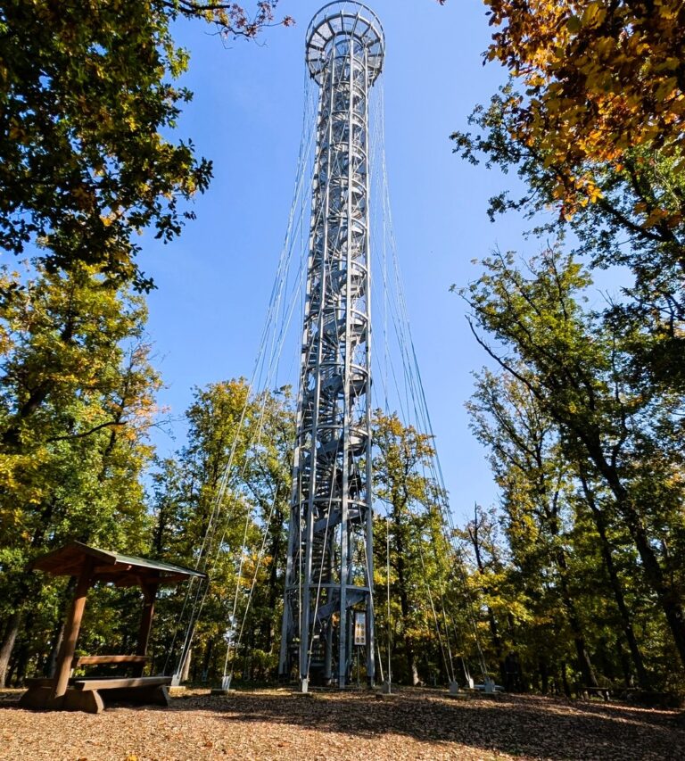 Rozhledna Holedná – moderní vyhlídka nad Brnem s panoramatem na celé město i okolní krajinu