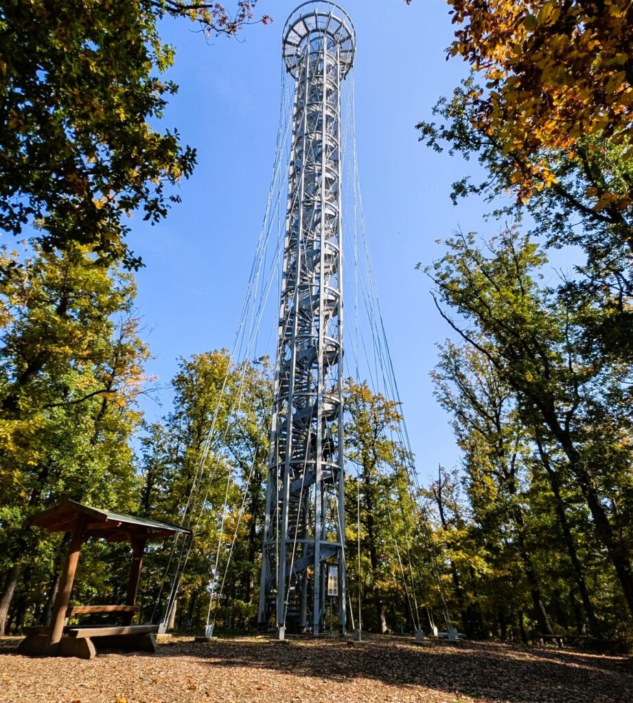 Rozhledna Holedná – moderní vyhlídka nad Brnem s panoramatem na celé město i okolní krajinu