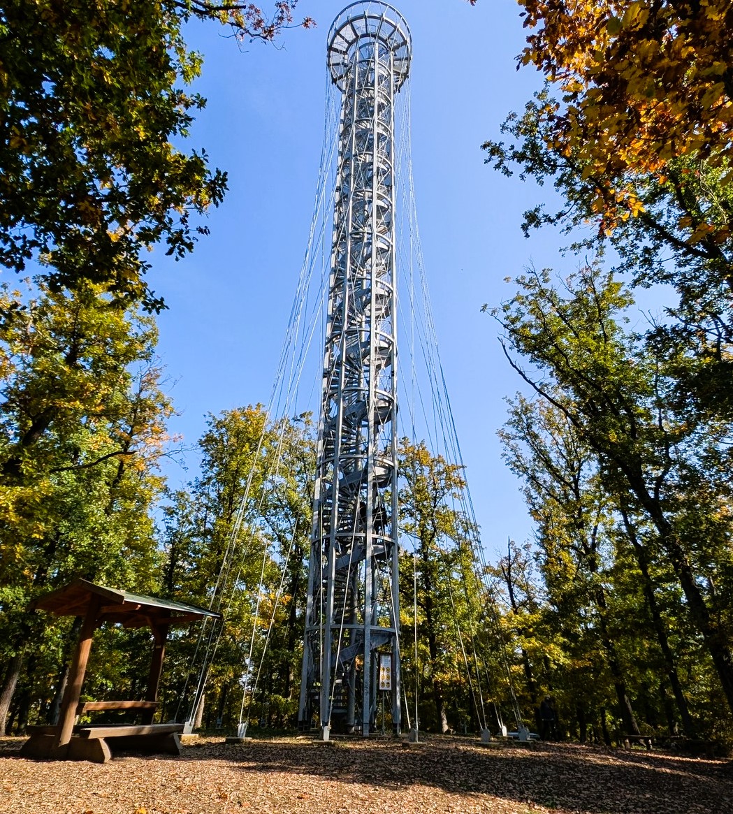 Rozhledna Holedná – moderní vyhlídka nad Brnem s panoramatem na celé město i okolní krajinu