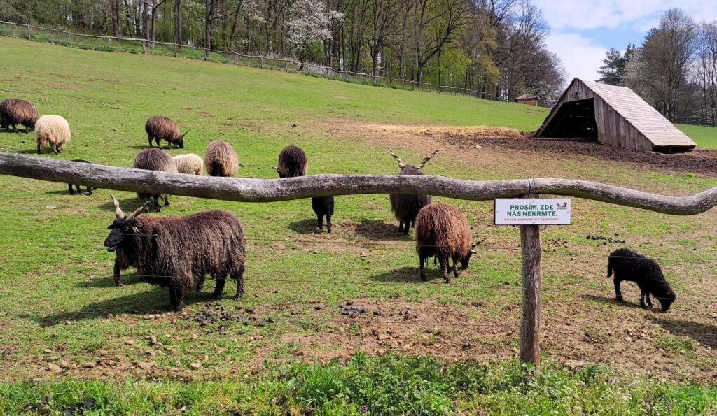 FarmaPark Soběhrdy – ráj pro děti i milovníky zvířa