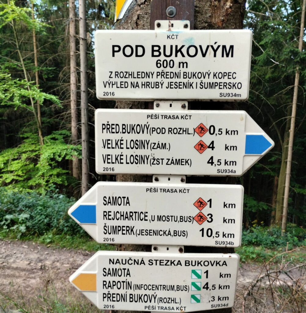 Rozhledna Bukovka u Rapotína: krásný výhled na Jeseníky a pohodový výlet pro celou rodinu