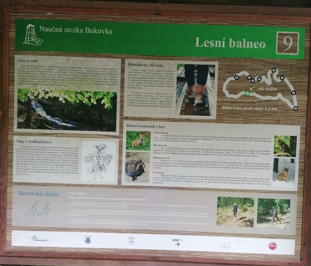 Rozhledna Bukovka u Rapotína: krásný výhled na Jeseníky a pohodový výlet pro celou rodinu