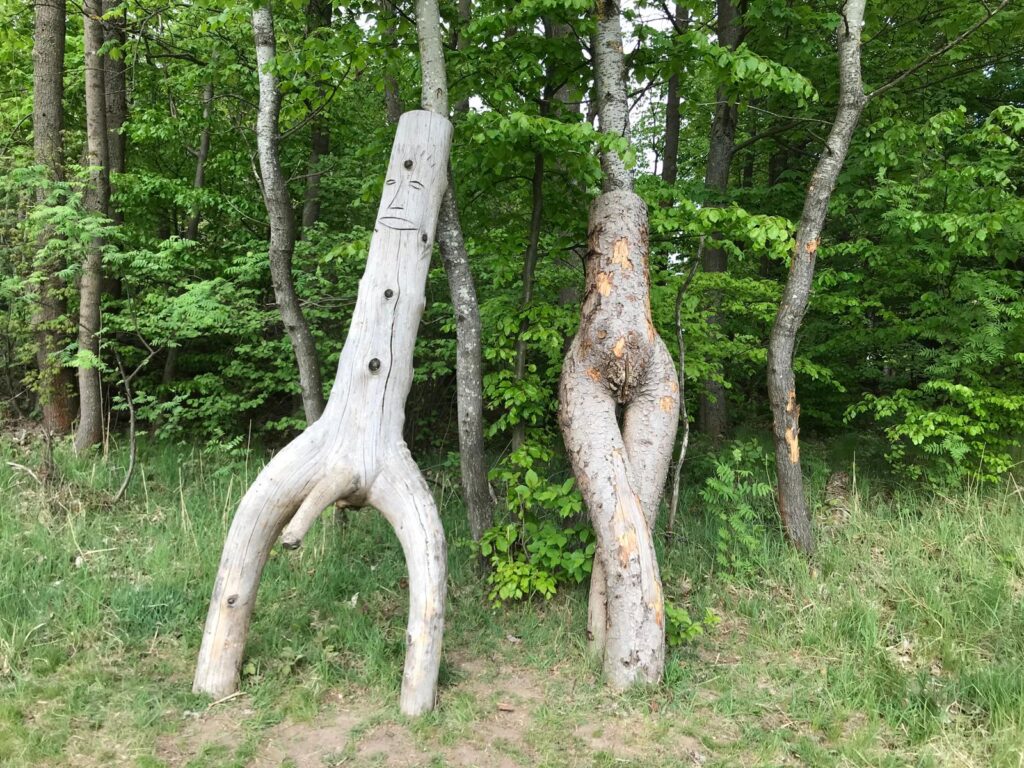 Turistický okruh z Jimramova na zříceninu hradu Štarkov a zpět přes Javorek a skály Prosíčka