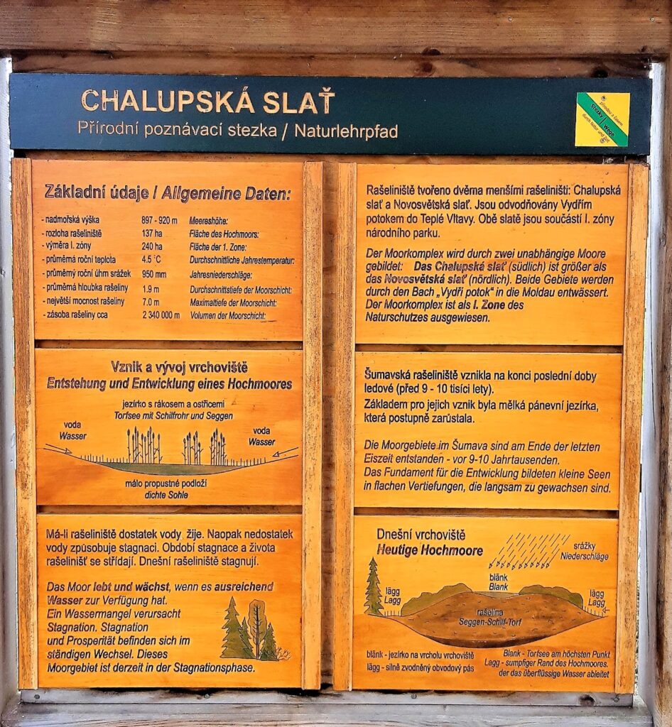 Chalupská slať – největší rašelinné jezírko v Česku a jeden z nejkrásnějších výletů na Šumavě