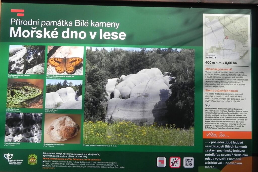 Bílé (Sloní) kameny u Jítravy – fascinující pískovcové skály připomínající stádo slonů