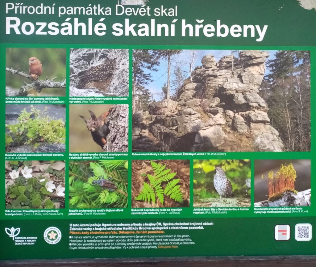 Devět skal – nejvyšší vrchol Žďárských vrchů: trasy, výhledy a praktický průvodce
