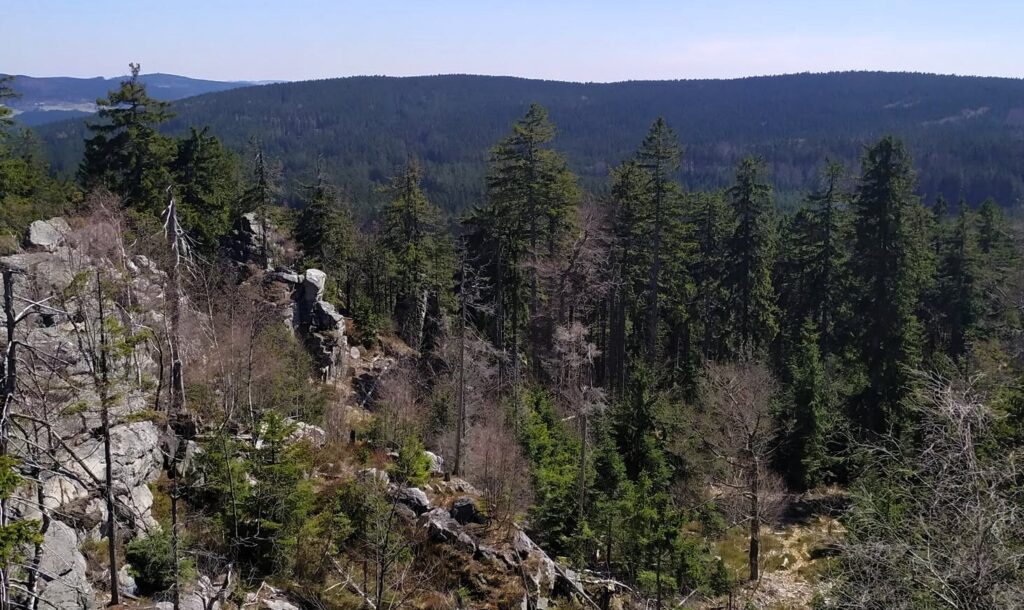 Devět skal – nejvyšší vrchol Žďárských vrchů: trasy, výhledy a praktický průvodce